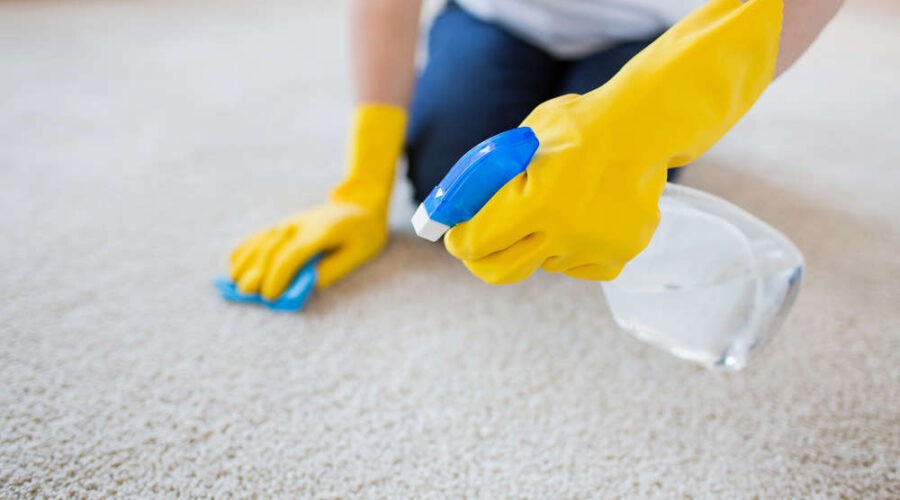 best carpet cleaning