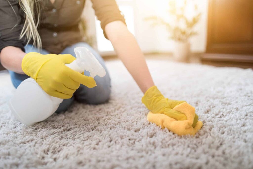 carpet appearance maintenance