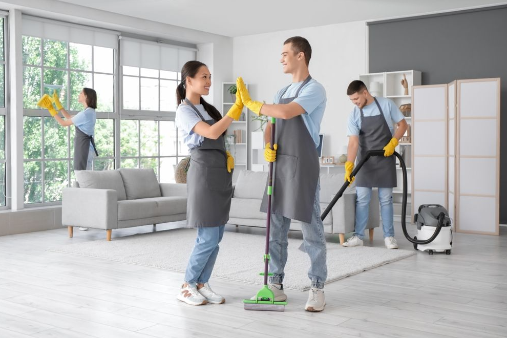 professional janitorial services